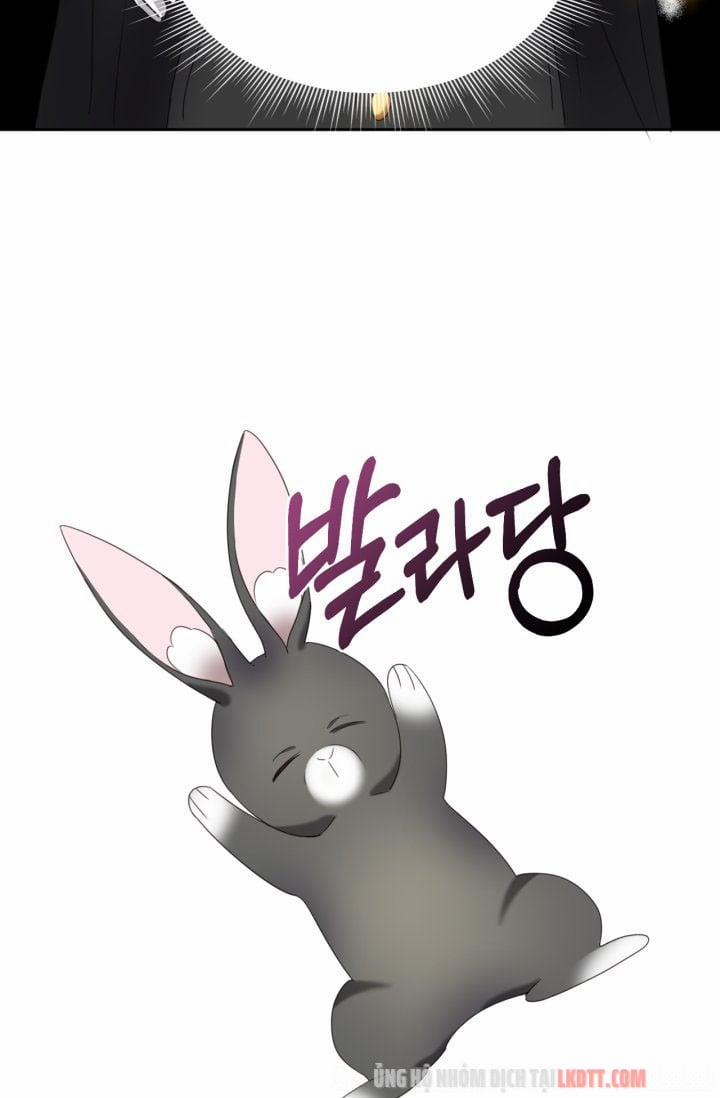 Chú Thỏ Quyền Quý Của Vị Công Nương Giả Mạo 11 trang 36
