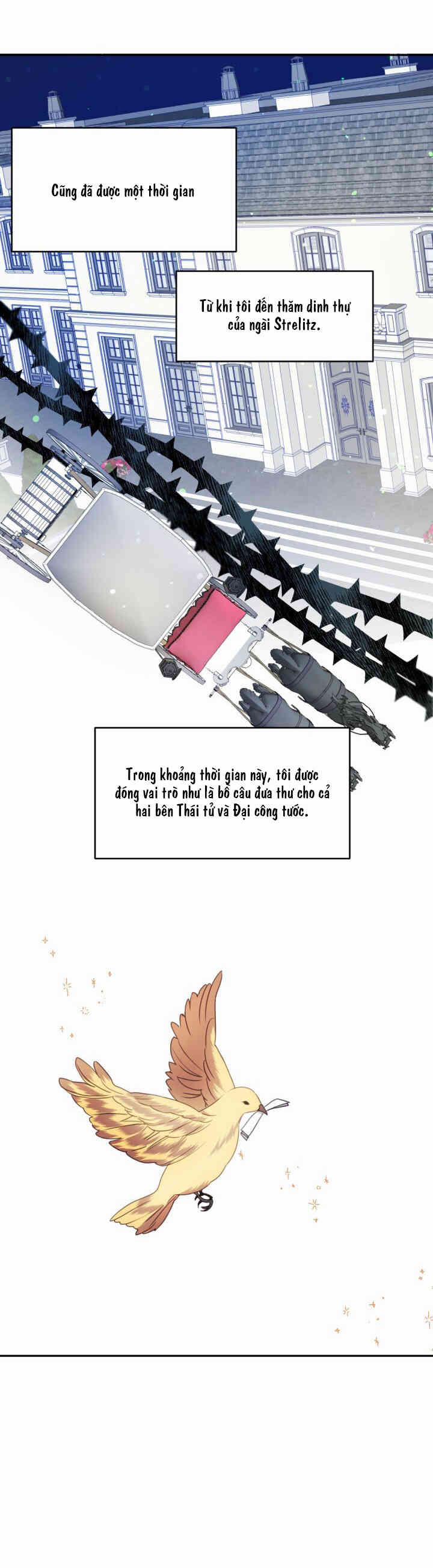 Chú Thỏ Quyền Quý Của Vị Công Nương Giả Mạo 15 trang 13