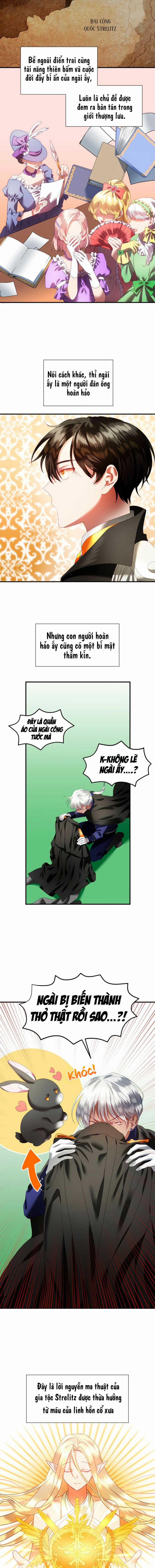 Chú Thỏ Quyền Quý Của Vị Công Nương Giả Mạo 2 trang 4