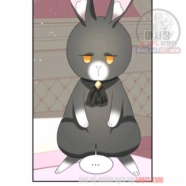 Chú Thỏ Quyền Quý Của Vị Công Nương Giả Mạo 21 trang 66