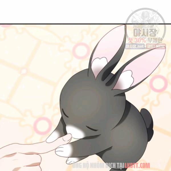Chú Thỏ Quyền Quý Của Vị Công Nương Giả Mạo 22 trang 17