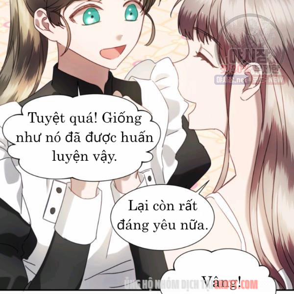 Chú Thỏ Quyền Quý Của Vị Công Nương Giả Mạo 22 trang 22