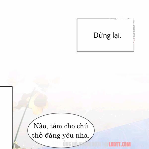 Chú Thỏ Quyền Quý Của Vị Công Nương Giả Mạo 22 trang 30