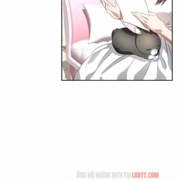 Chú Thỏ Quyền Quý Của Vị Công Nương Giả Mạo 24 trang 10