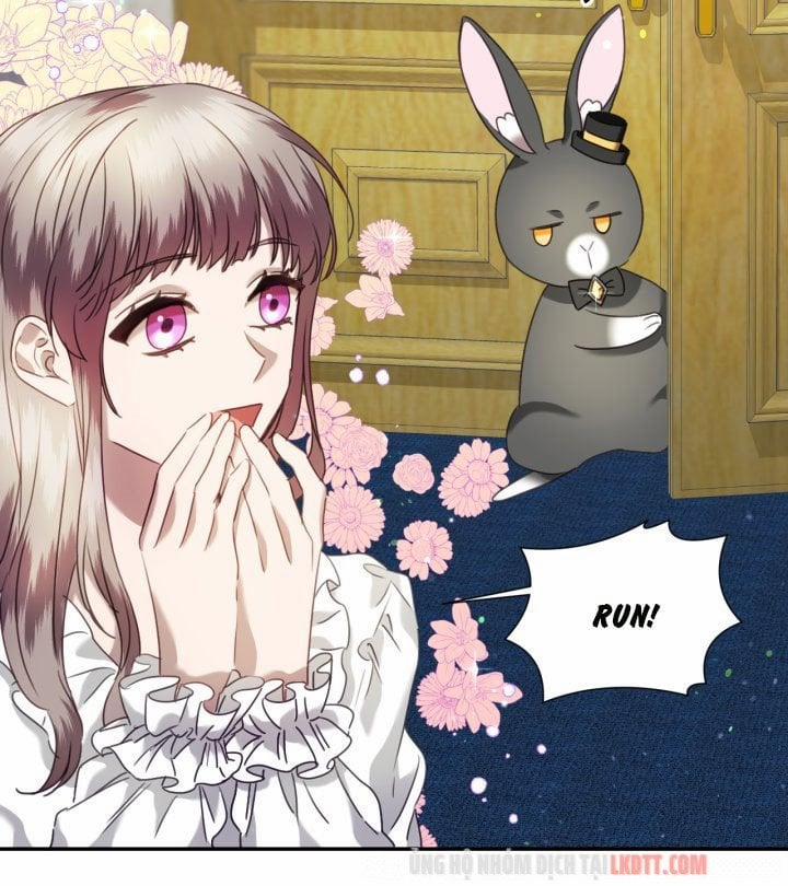 Chú Thỏ Quyền Quý Của Vị Công Nương Giả Mạo 29 trang 15