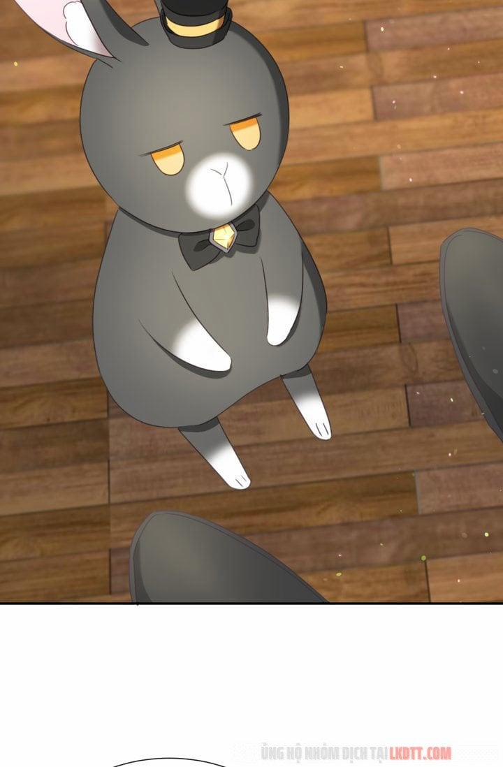 Chú Thỏ Quyền Quý Của Vị Công Nương Giả Mạo 29 trang 42