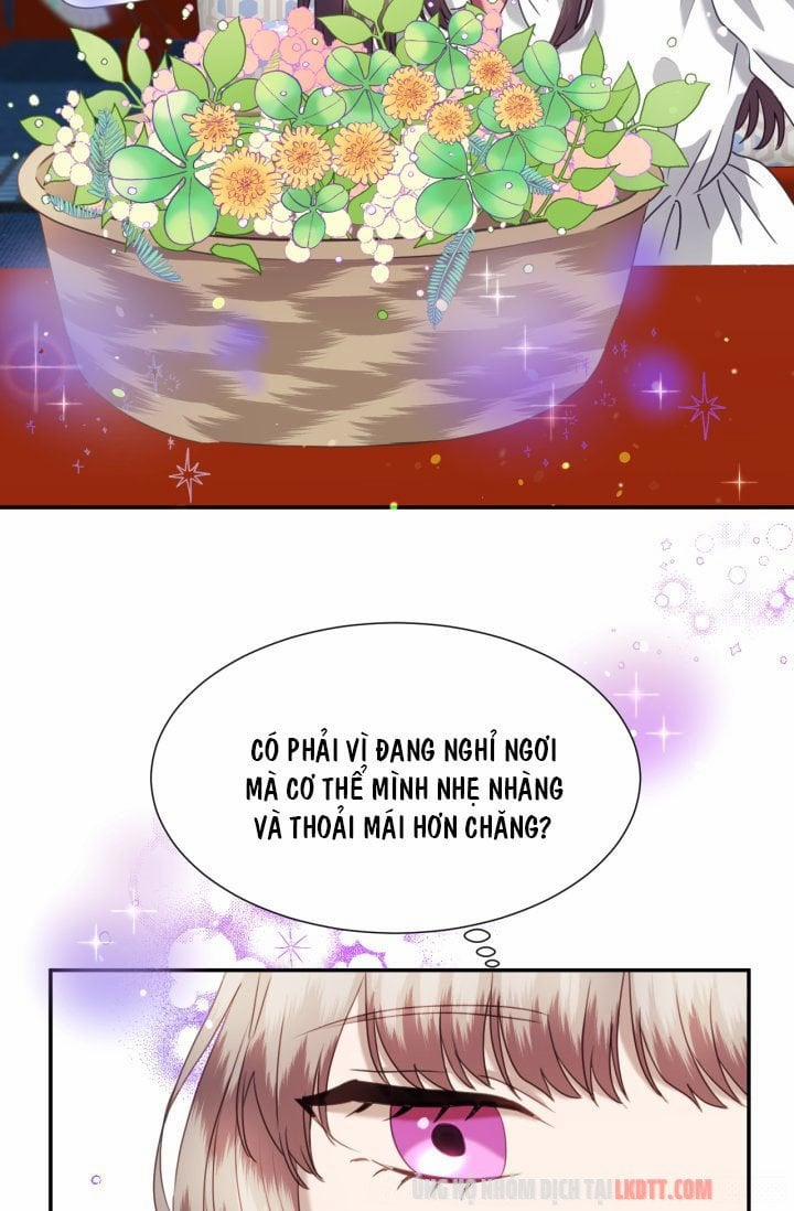 Chú Thỏ Quyền Quý Của Vị Công Nương Giả Mạo 29 trang 5