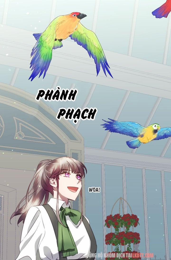 Chú Thỏ Quyền Quý Của Vị Công Nương Giả Mạo 29 trang 52