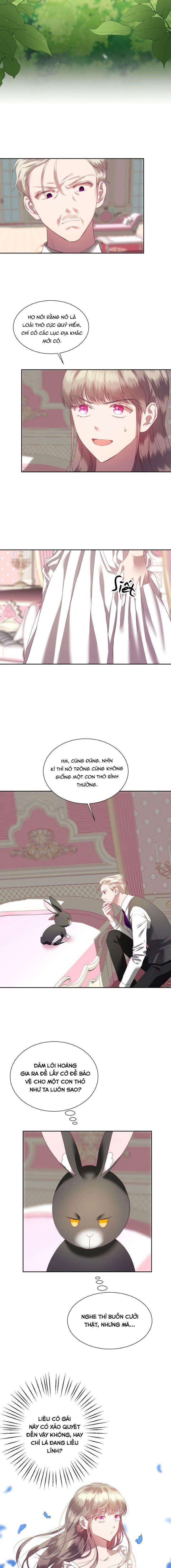 Chú Thỏ Quyền Quý Của Vị Công Nương Giả Mạo 3 trang 3