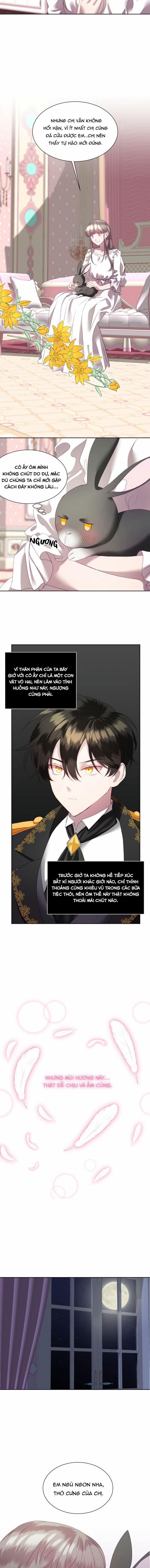 Chú Thỏ Quyền Quý Của Vị Công Nương Giả Mạo 3 trang 5