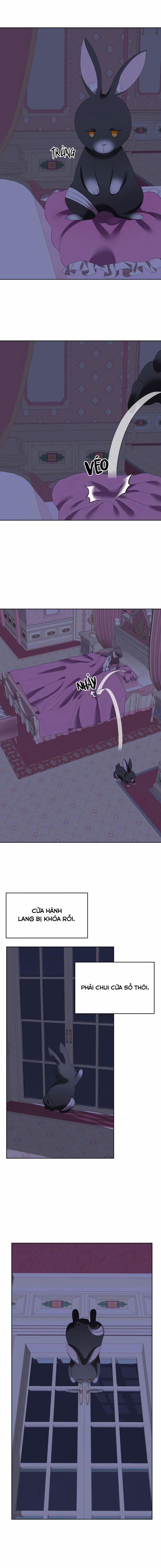 Chú Thỏ Quyền Quý Của Vị Công Nương Giả Mạo 3 trang 7