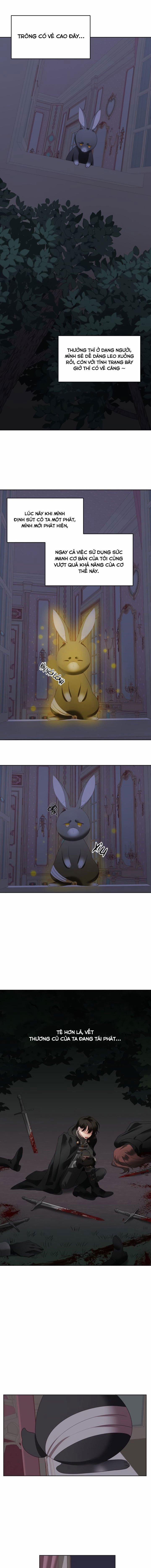 Chú Thỏ Quyền Quý Của Vị Công Nương Giả Mạo 3 trang 8