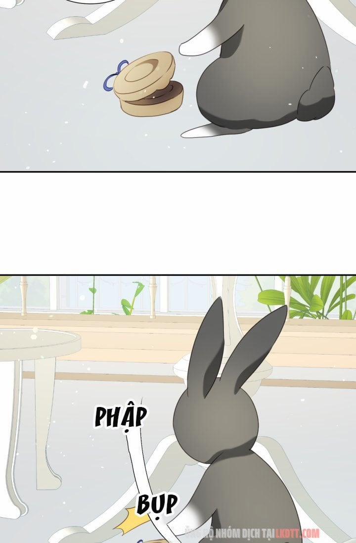 Chú Thỏ Quyền Quý Của Vị Công Nương Giả Mạo 30 trang 34