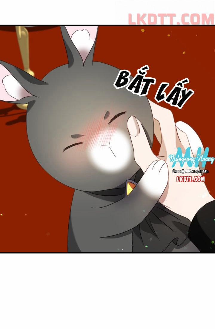 Chú Thỏ Quyền Quý Của Vị Công Nương Giả Mạo 32 trang 47