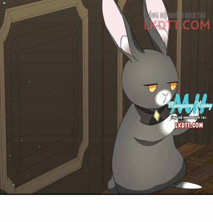 Chú Thỏ Quyền Quý Của Vị Công Nương Giả Mạo 33 trang 14
