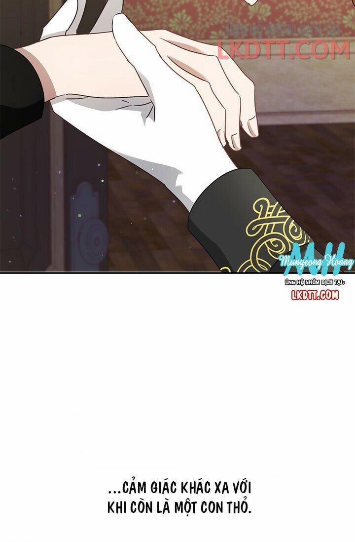 Chú Thỏ Quyền Quý Của Vị Công Nương Giả Mạo 35.1 trang 26
