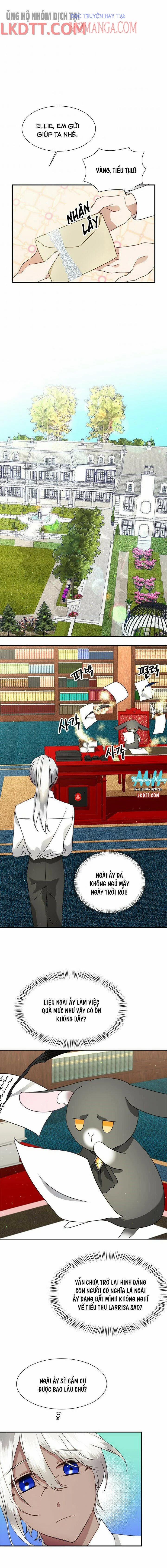 Chú Thỏ Quyền Quý Của Vị Công Nương Giả Mạo 39.5 trang 2