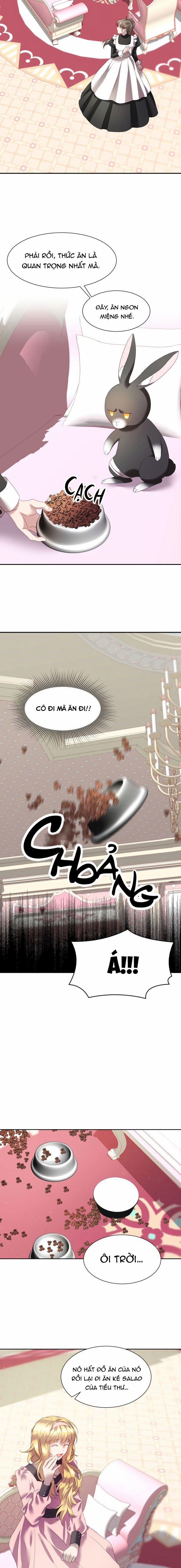 Chú Thỏ Quyền Quý Của Vị Công Nương Giả Mạo 4 trang 2