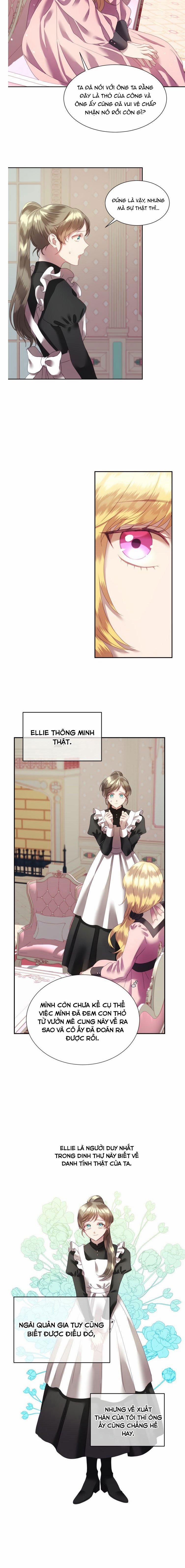 Chú Thỏ Quyền Quý Của Vị Công Nương Giả Mạo 4 trang 4