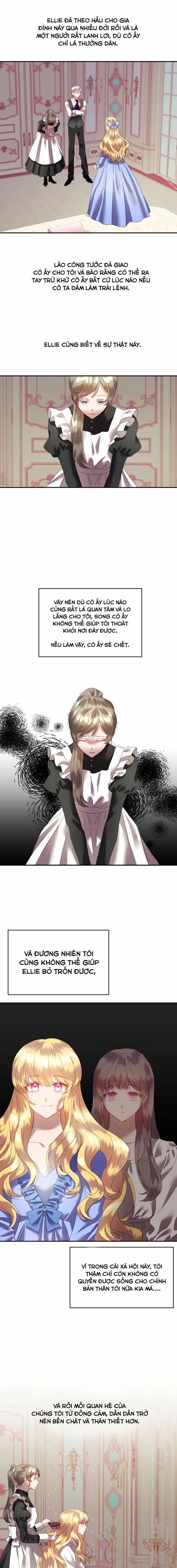 Chú Thỏ Quyền Quý Của Vị Công Nương Giả Mạo 4 trang 5