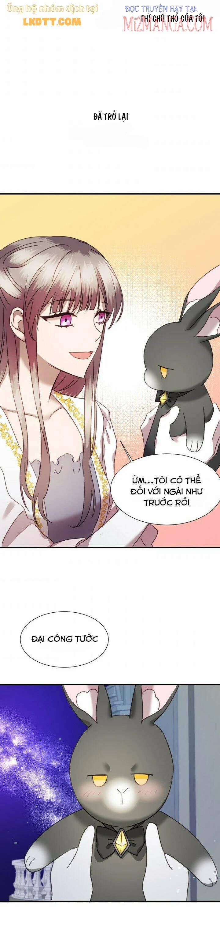 Chú Thỏ Quyền Quý Của Vị Công Nương Giả Mạo 41.5 trang 3