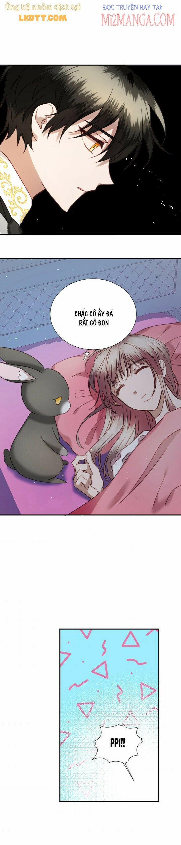 Chú Thỏ Quyền Quý Của Vị Công Nương Giả Mạo 42.5 trang 2