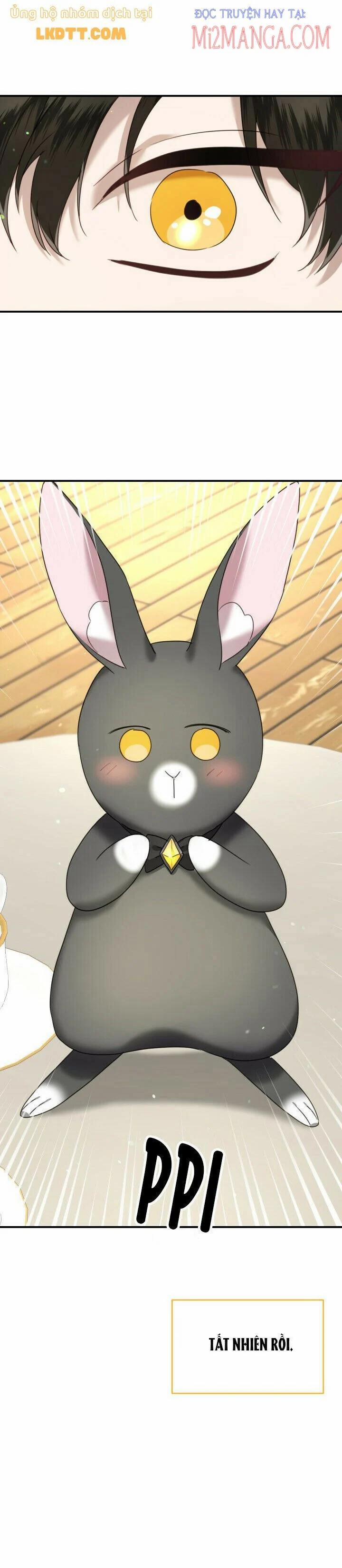 Chú Thỏ Quyền Quý Của Vị Công Nương Giả Mạo 43.5 trang 8