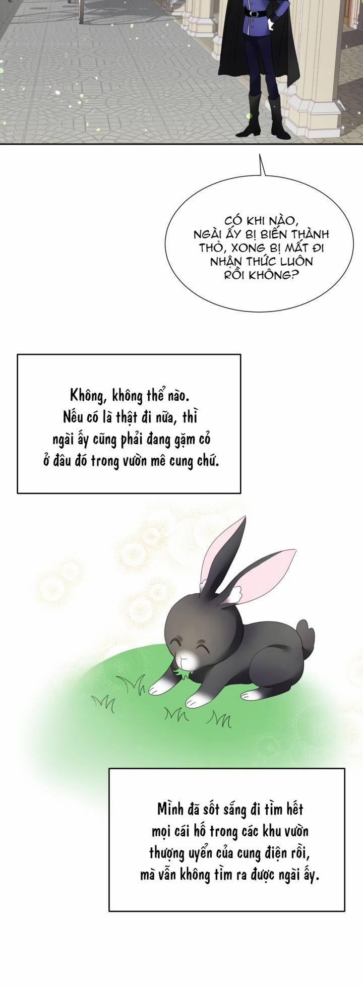 Chú Thỏ Quyền Quý Của Vị Công Nương Giả Mạo 7 trang 4