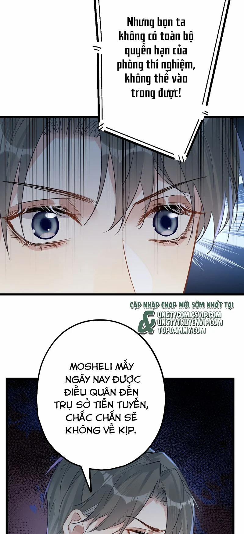 Chung Tình 66 trang 17