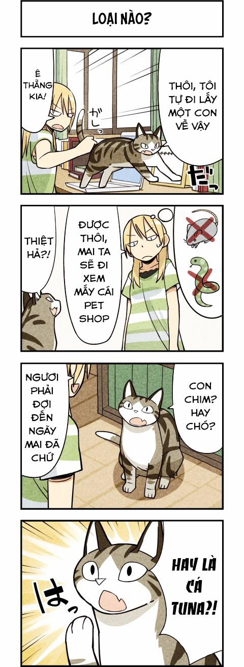 Chúng Tôi Là Mèo 11 trang 3