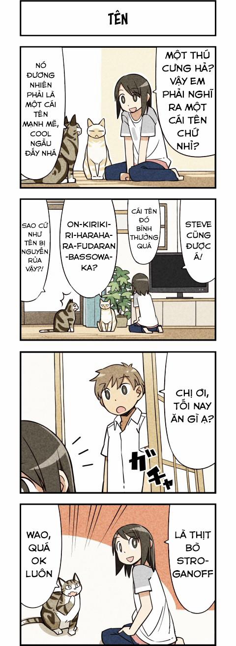 Chúng Tôi Là Mèo 11 trang 4