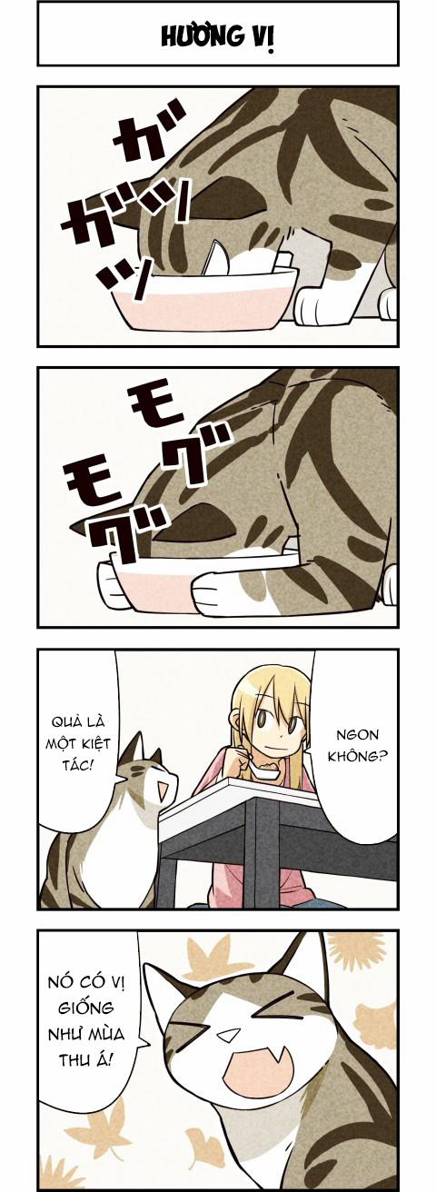 Chúng Tôi Là Mèo 12 trang 6