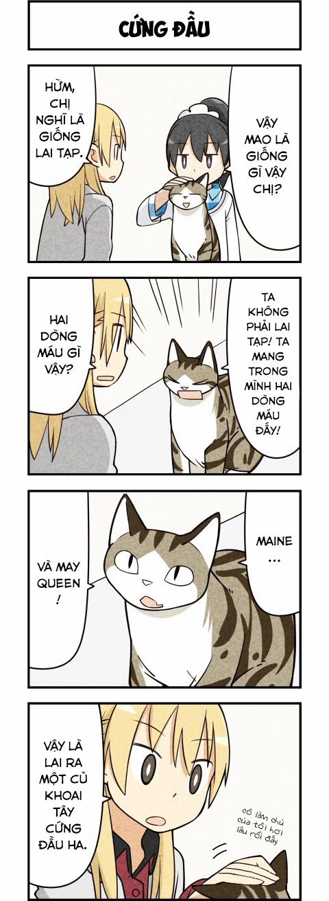 Chúng Tôi Là Mèo 15 trang 6