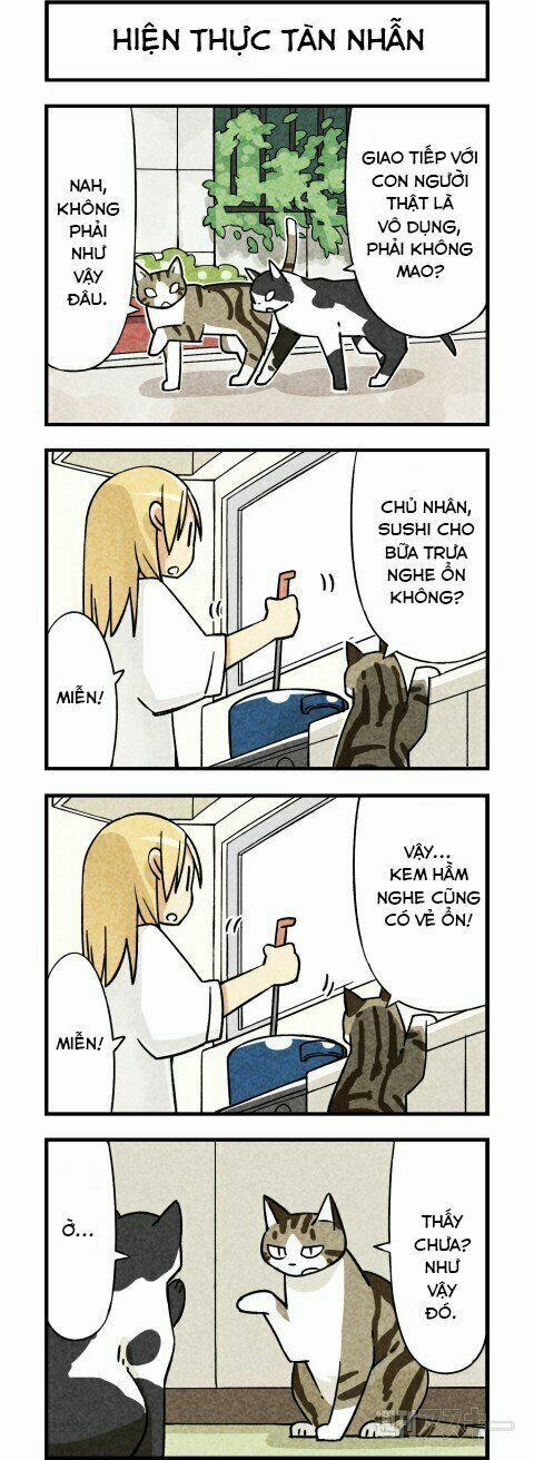 Chúng Tôi Là Mèo 3 trang 3