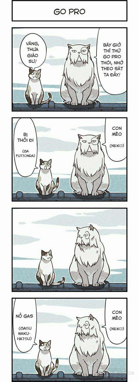 Chúng Tôi Là Mèo 6 trang 2