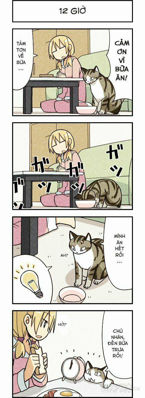 Chúng Tôi Là Mèo 7 trang 4