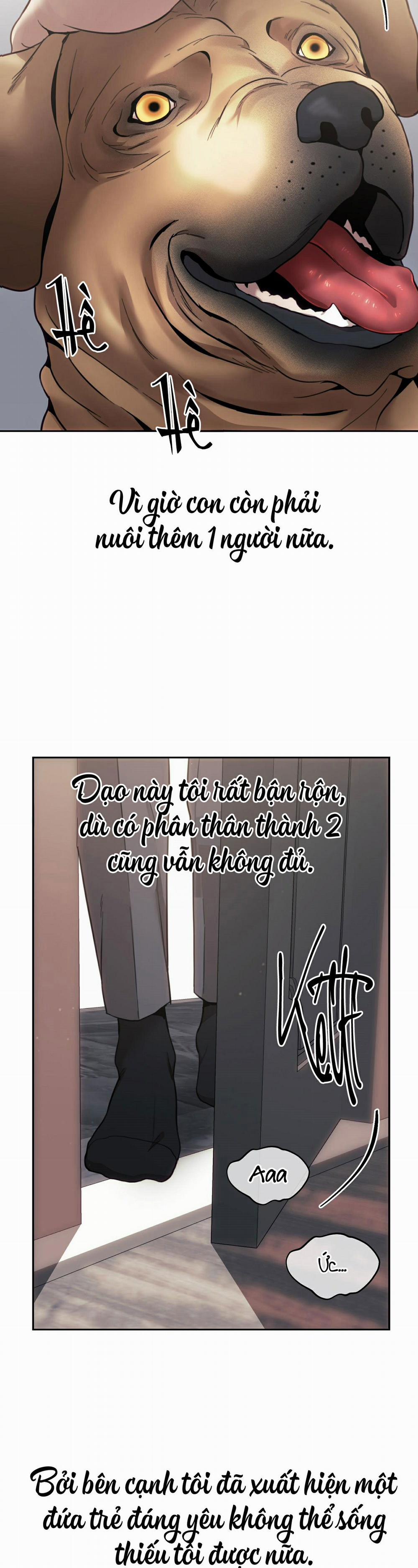 Chuồng chó Tosa 7 trang 37