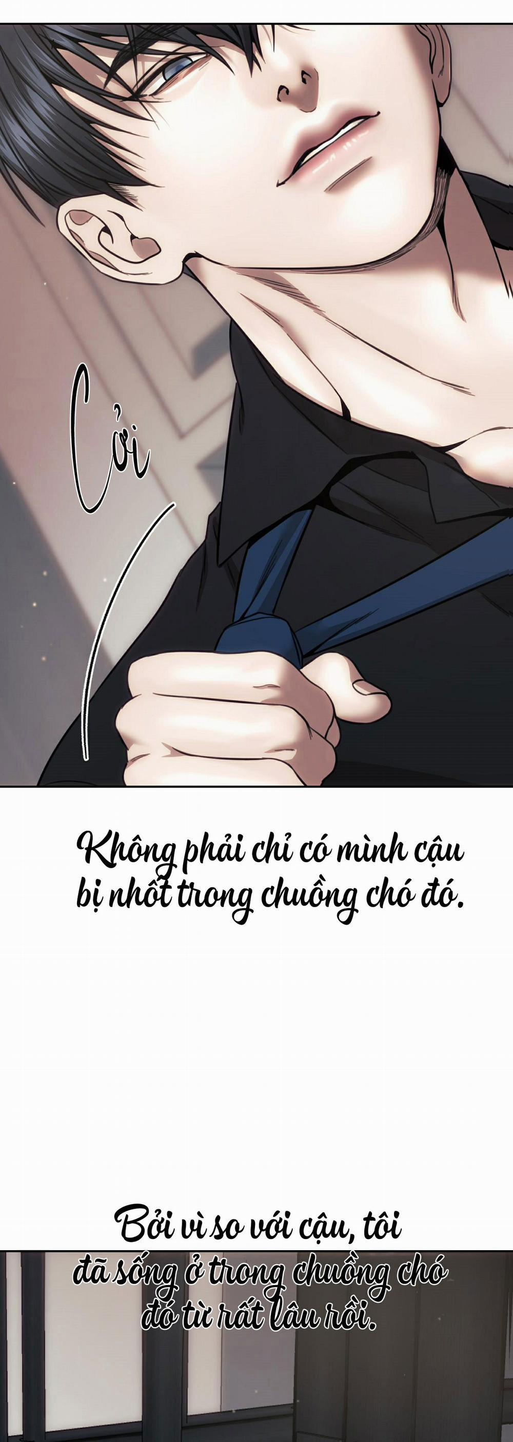 Chuồng chó Tosa 7 trang 40