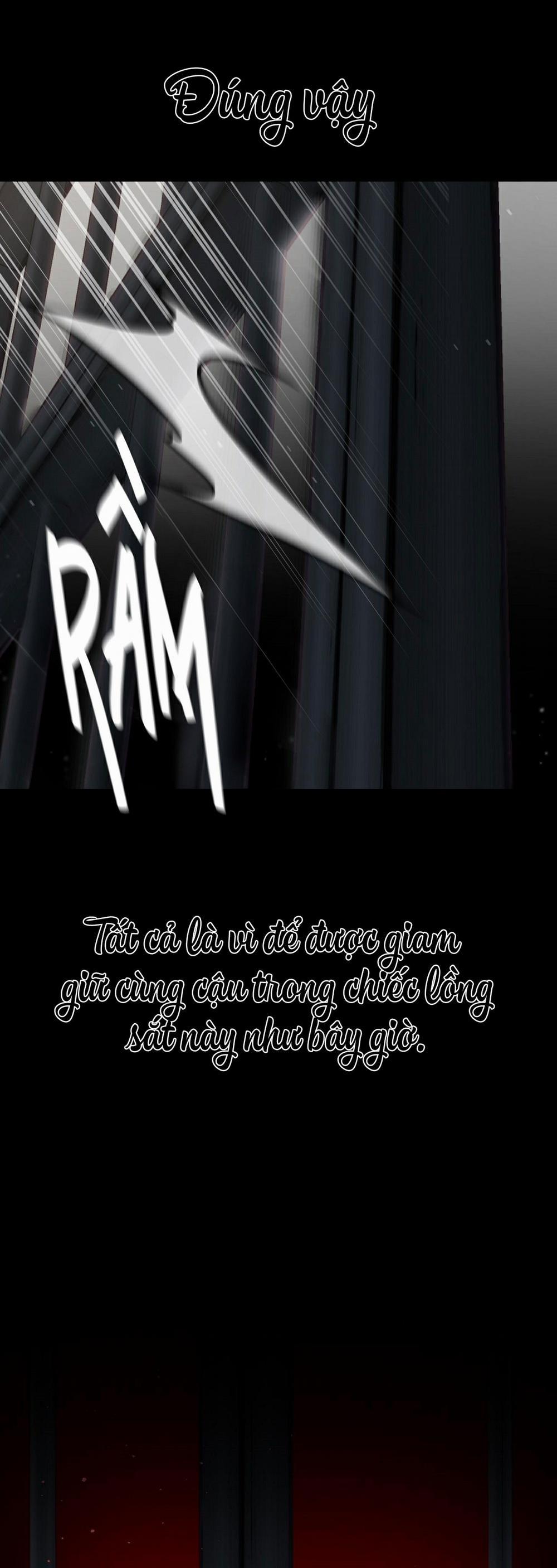 Chuồng chó Tosa 7 trang 43