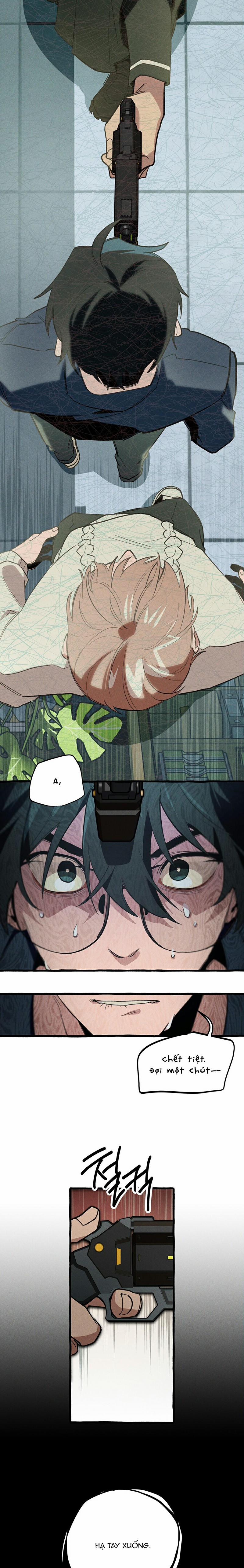 Chuyến Dã Ngoại Lần Thứ 11 11 trang 12