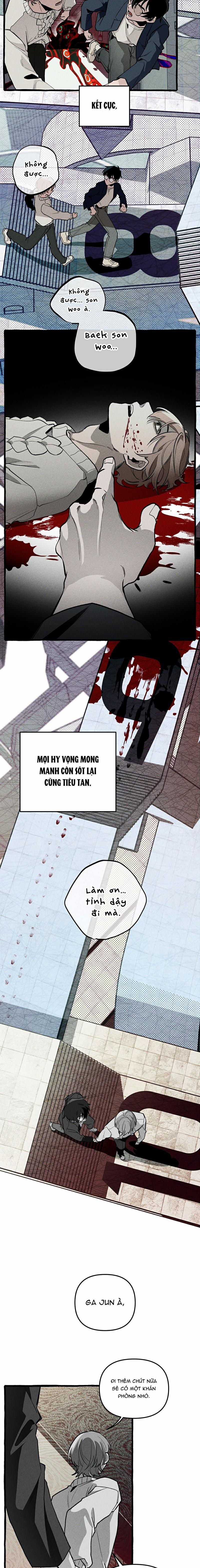 Chuyến Dã Ngoại Lần Thứ 11 7 trang 17