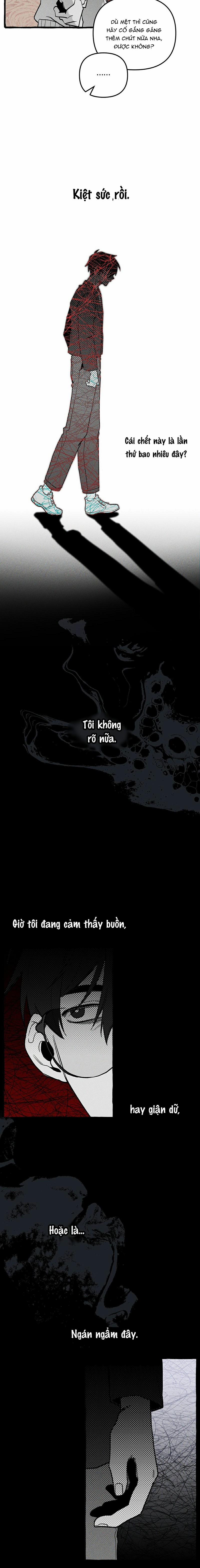 Chuyến Dã Ngoại Lần Thứ 11 7 trang 18