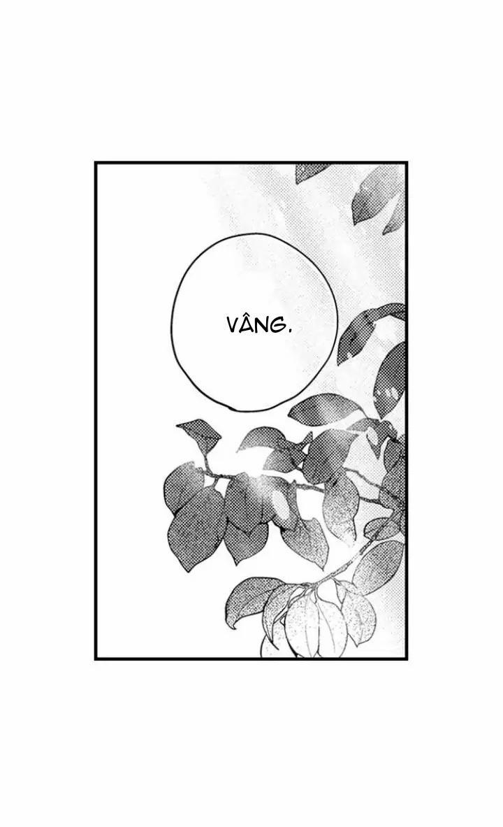 Chuyến Du Ngoạn Tây Phương Tình Thú 17 trang 7