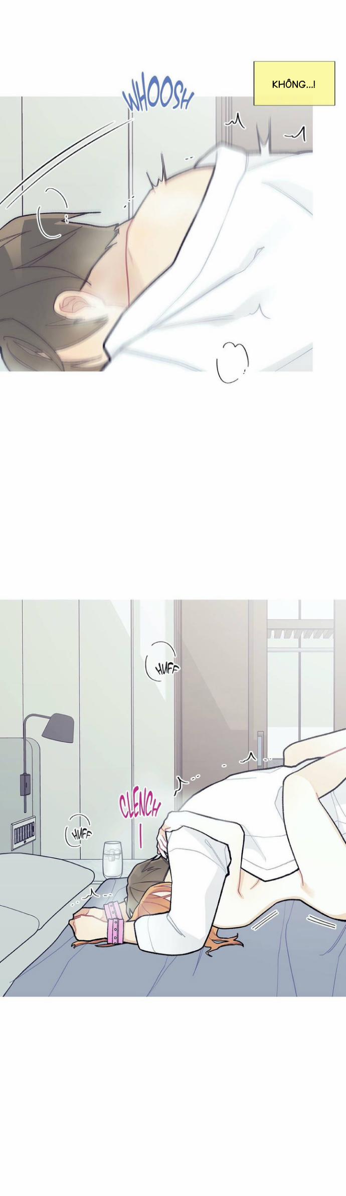 Chuyện Quái Gì Đang Xảy Ra? 84 trang 17