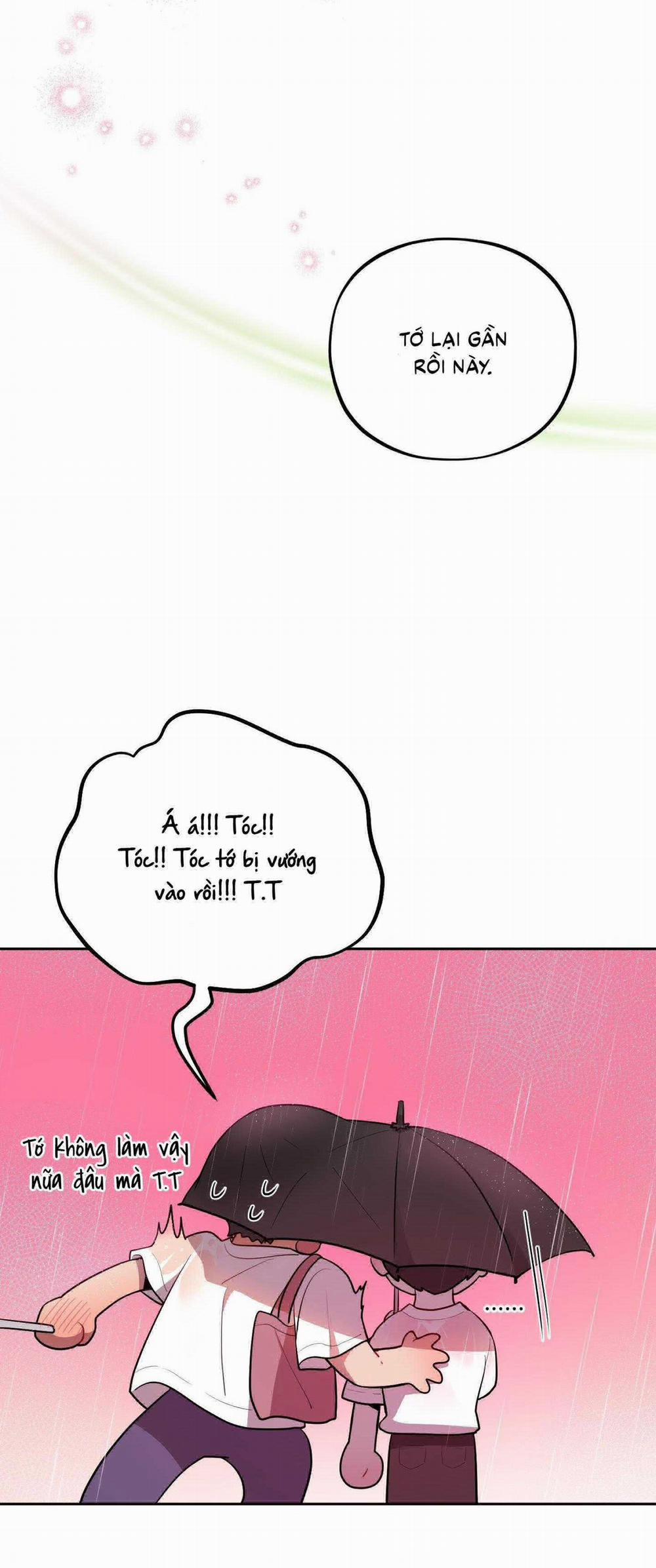 Chuyện Rằng Tôi Yêu Cậu 15 trang 52