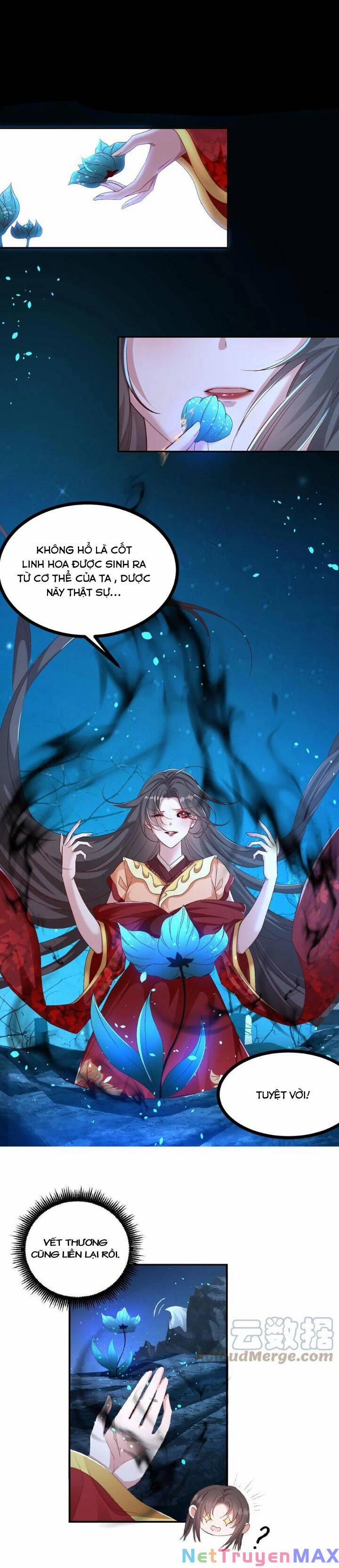 Chuyển Sinh: Thần Y Quận Chúa Khuynh Thiên Hạ 1 trang 11