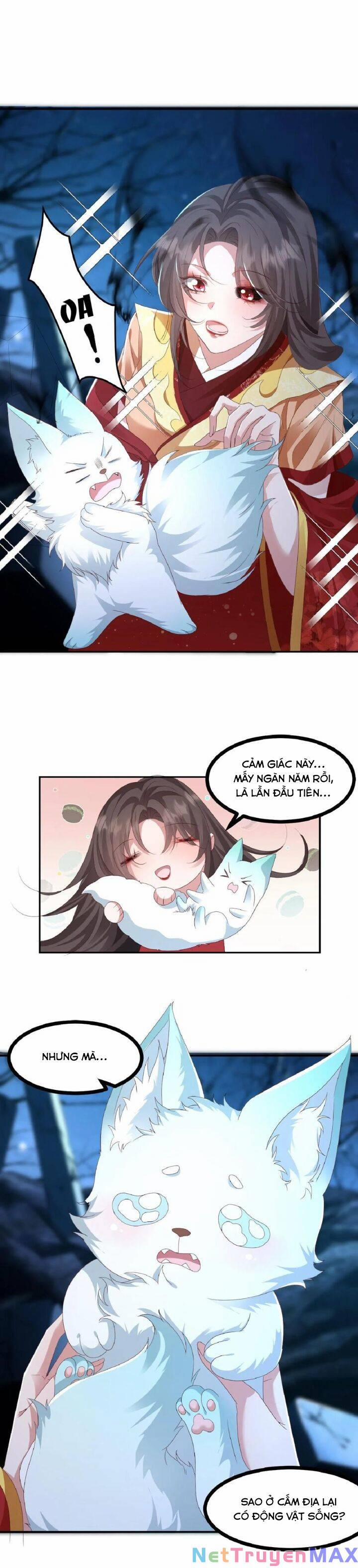 Chuyển Sinh: Thần Y Quận Chúa Khuynh Thiên Hạ 1 trang 12