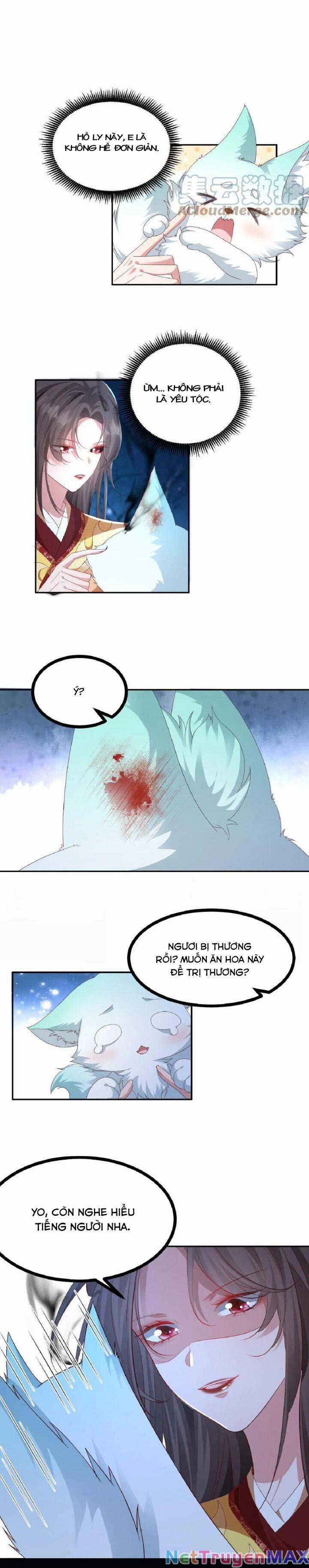 Chuyển Sinh: Thần Y Quận Chúa Khuynh Thiên Hạ 1 trang 13