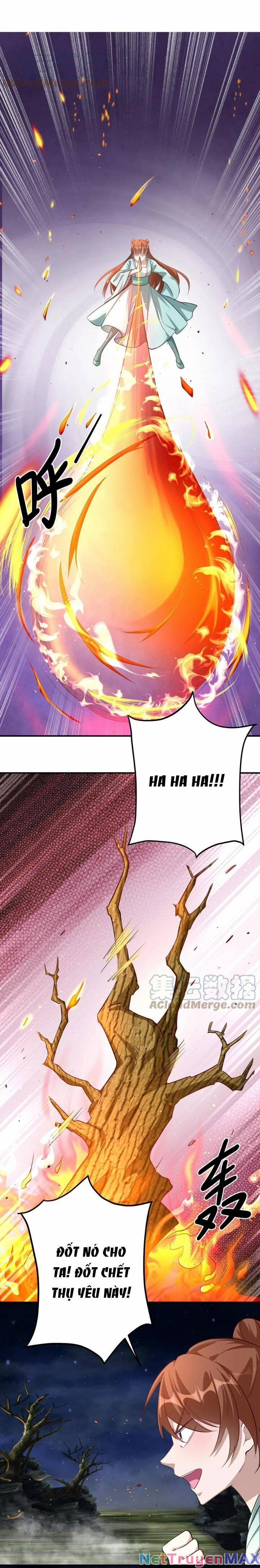 Chuyển Sinh: Thần Y Quận Chúa Khuynh Thiên Hạ 10 trang 11