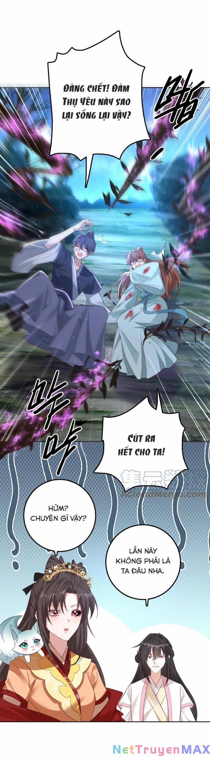 Chuyển Sinh: Thần Y Quận Chúa Khuynh Thiên Hạ 13 trang 10